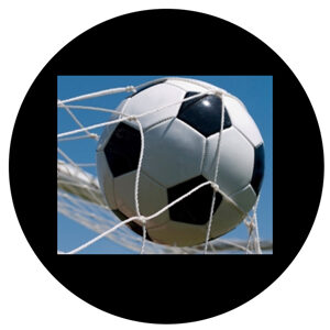 Goboservice - soccer-ball-in-the-net