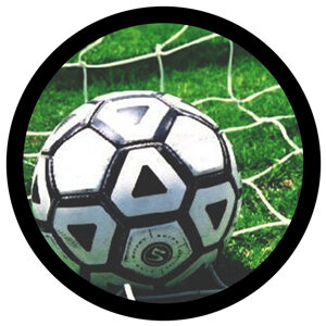 Goboservice - soccer-ball-in-the-net-2340