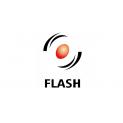 Flash Professional