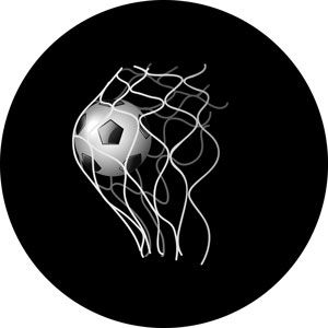 Goboservice - Ball in net