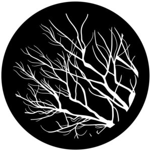 Goboservice - Kale bomen silhouet