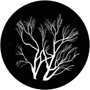 Goboservice - Kale bomen in bos